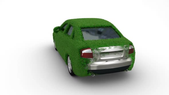 Car Grass Grow alt