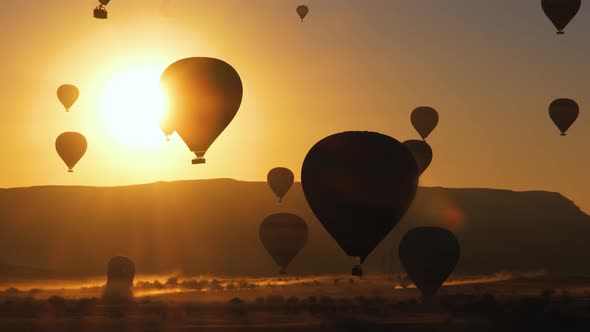Balloons Flying in the Sunlight alt