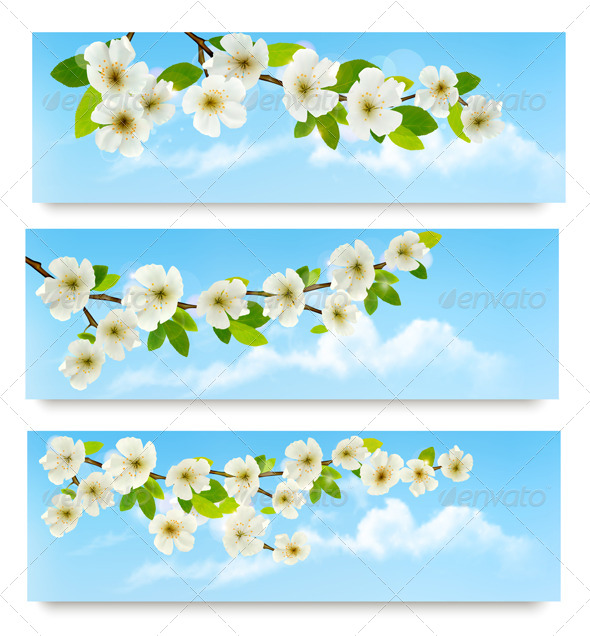 Three Spring Banners with Blossoming Tree Brunch - Flowers & Plants Nature