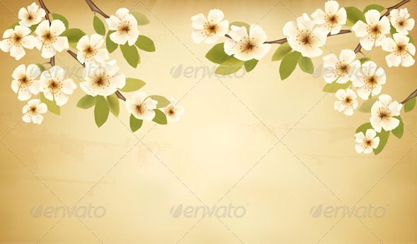 Retro Background with Blossoming Tree Branch - Flowers & Plants Nature