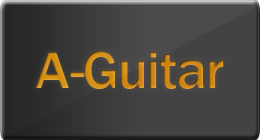 Acoustic Guitars