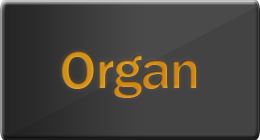 Organ