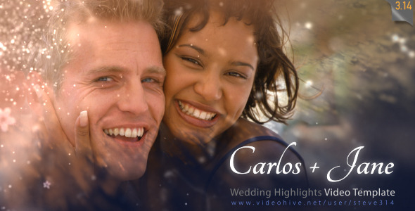 Wedding Highlights - VideoHive 6679531