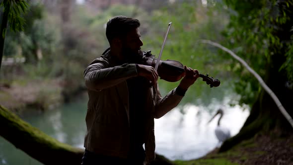 Silhouette of a Street Musician a Man Playing a Classical Stringed Instrument Violin in Nature alt