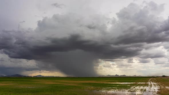Thunderstorm Downburst over a Farm Field in Arizona alt