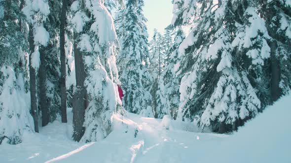 Male Hiker With Red Jacket Snowshoeing Through Snowy Winter Forest Landscape alt