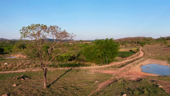 Aerial low shot of the countryside of Goias, Brazil, on a sunny day. alt