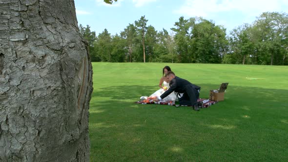 Picnic Of The Newlyweds Stock Footage Videohive