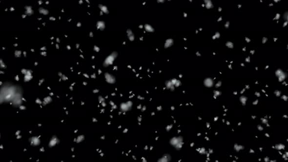 Snow 4K