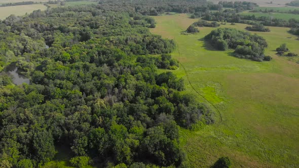 An Aerial View. Beautiful Summer Landscape in the Middle Strip of Russia. Along the Narrow, Winding alt