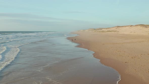 Happy Romantic Middle Age Couple Enjoying Relaxing Sunset Walk on Endless Beach with Dog, Aerial alt