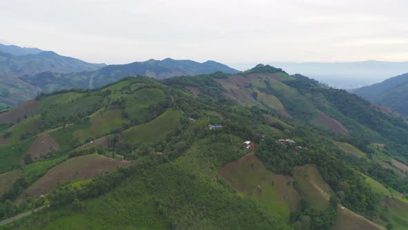 Aerial top view of forest trees and green mountain hill. Nature landscape background, Thailand.