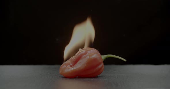 Red chili pepper on fire on black background