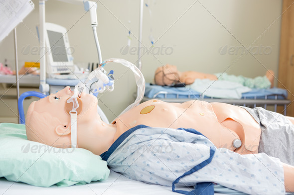 Medical Dummies - Stock Photo - Images