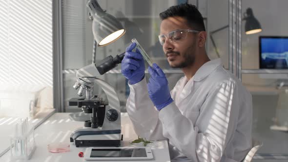 Male Biology Researcher With GM Plant alt