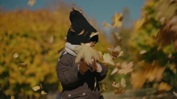 Little Boy Stands Under the Leaf Fall in the Yellow Autumn Park on a Sunny Day alt