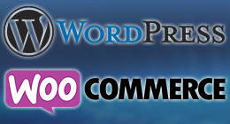 * Wordpress & Woocommerce Plugins *