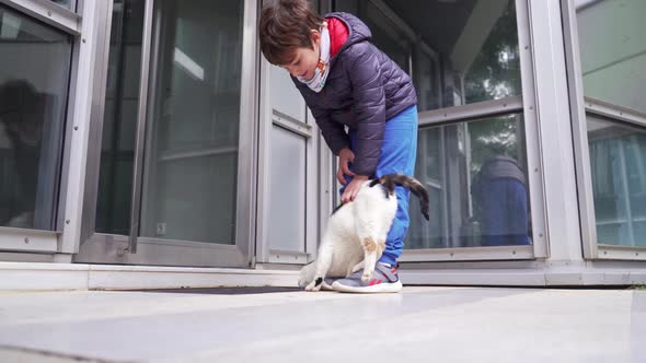 Caucasian kid playing with a stray cat outdoors, cloudy winter's day 4k alt