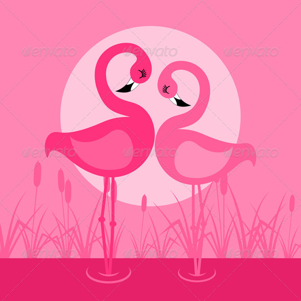 Flamingo