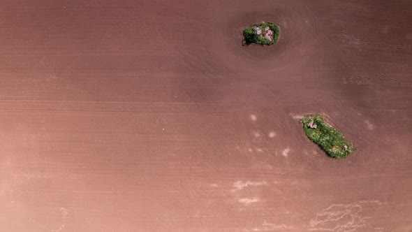 AERIAL TOP DOWN LONG TERM TIMELAPSE, food crops grow from tillage alt