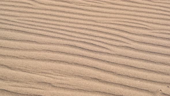 Parallel Sand Pattern Lines on Dune Surface in Desert alt