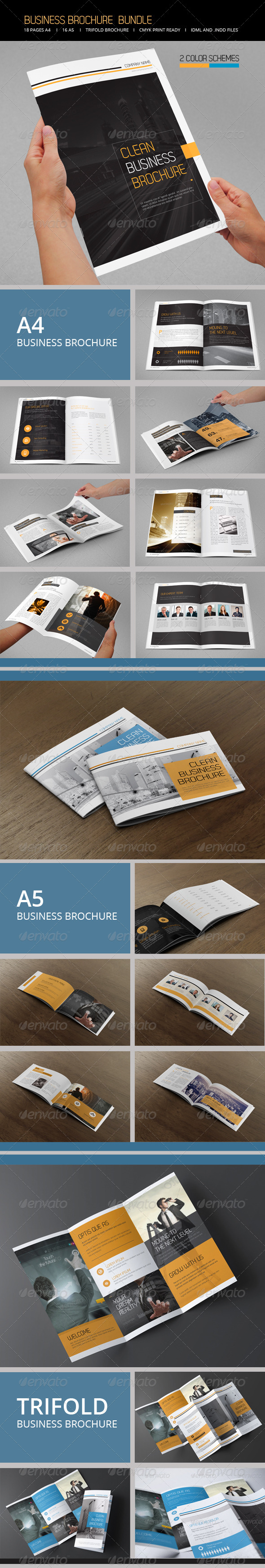 Business Brochure Bundle - Informational Brochures