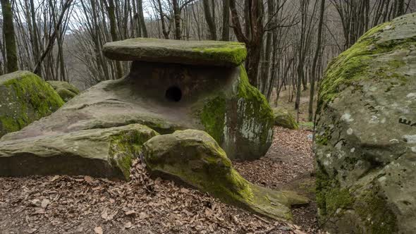 Ancient dolmen from a large megalith covered with moss in the forest