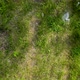 Along the green grass and debris - VideoHive Item for Sale