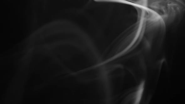 Cigarette white smoke on black background, slow motion
