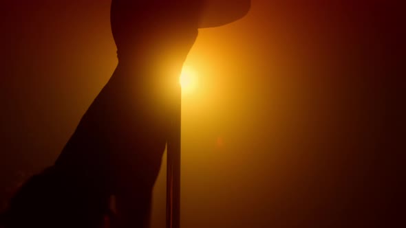 Silhouette Woman Performing Poledance in Spotlight alt