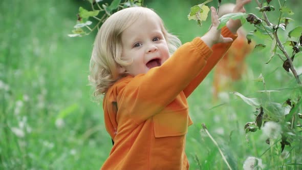 Little Joyful Boy in Orange Hoodie Looks at Camera During Walk in Nature, Slow Motion alt