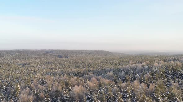 AERIAL: Flying Backwards Over Frozen and Snowy Forest on a Beautiful Cold Winter Day