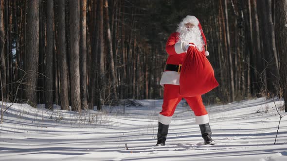 Santa with a Red Sack Dancing Cheerfully in the Park alt