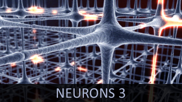 Neurons 3