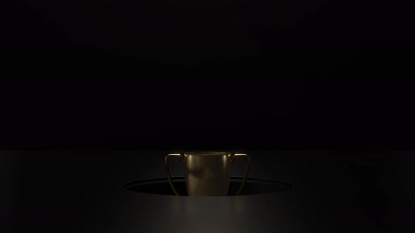 Gold trophy cup rising up and dark background