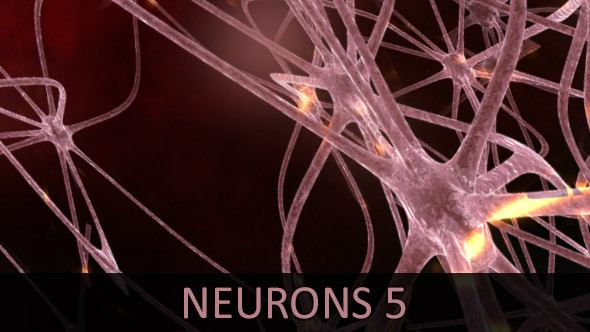 Neurons 5