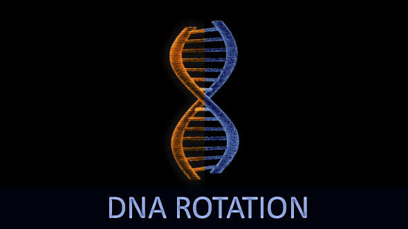 DNA Rotation (6-Pack)