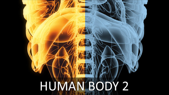 Human Body 2 (2-Pack)