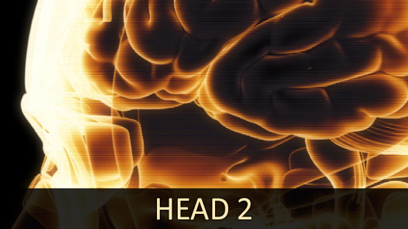 Head 2 (2-Pack)