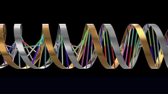 DNA 2 (3-Pack)