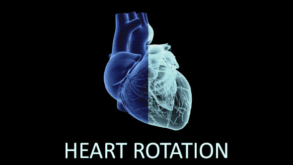 Heart Rotation (3-Pack)