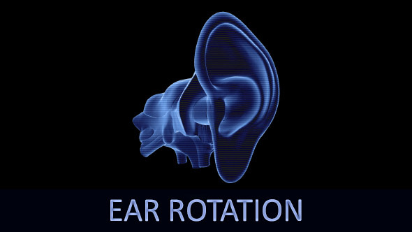 Ear Rotation (3-Pack)