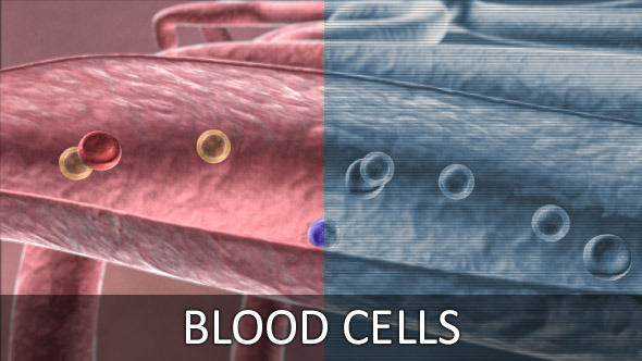Blood Cells (4-Pack)