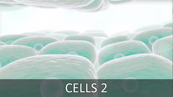 Cells 2 (2-Pack)