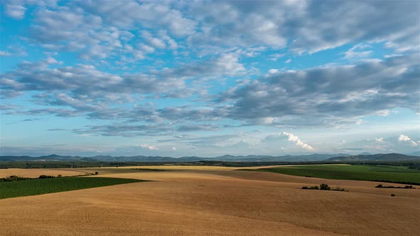 Aerial Hyperlapse Over Yellowed Wheat Fields alt