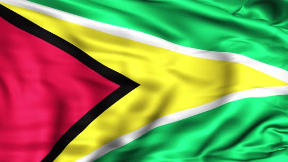 Guyana Flag alt