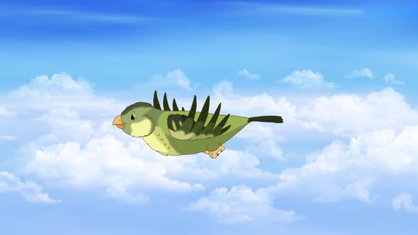 Small green bird flying in the sky 4K