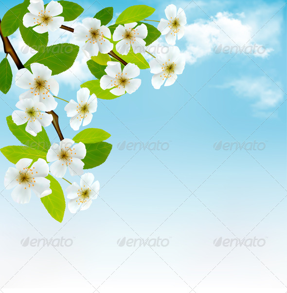 Background with Blossoming Tree - Flowers & Plants Nature