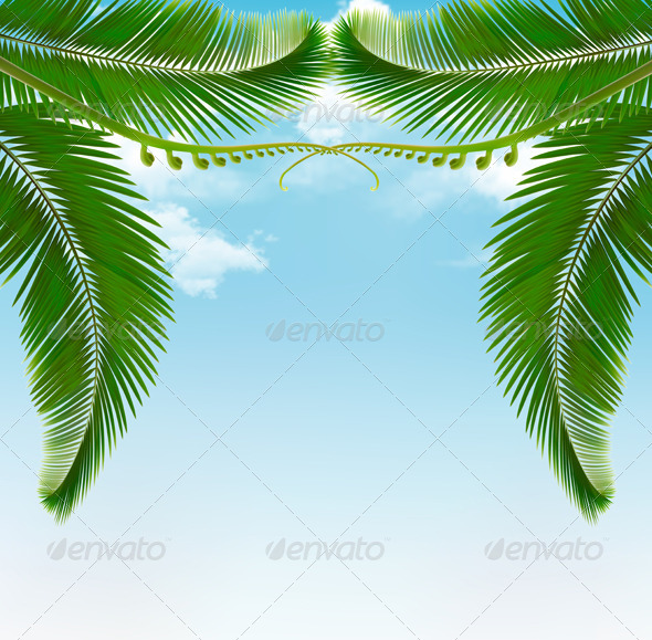 Palm Leaves on Sky - Nature Conceptual