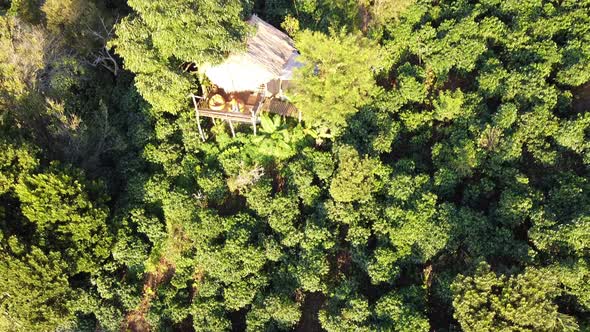 Aerial view from drone of tree house in the forest